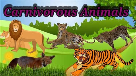 Carnivorous Animals Names And Pictures