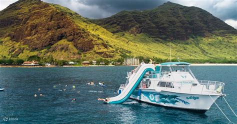 Swimming with Dolphins in Oahu - Klook Australia