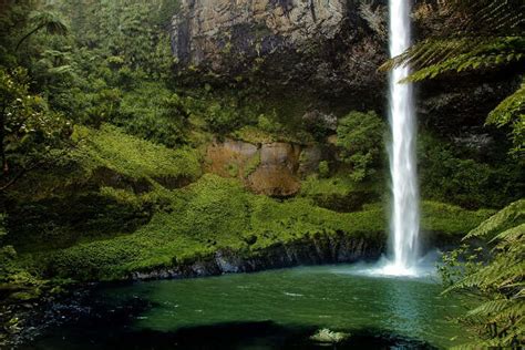 9 Beautiful Waterfalls In Fiji Worthy Of A Walk In The Woods