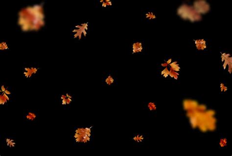 Free Leaf Overlays for Photoshop – 300 Autumn Overlays