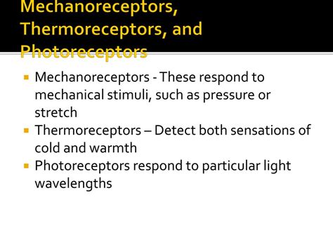 PPT - Senses and Sensory Receptors PowerPoint Presentation, free ...