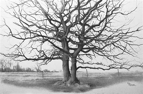 Tree Pencil Drawing Art Print, Tree Art Print, Oak Tree, Dancing Trees ...