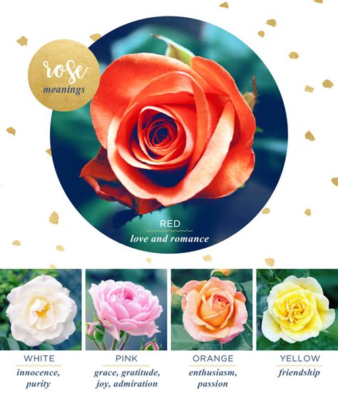 Meaning Of Color Rose Flowers | Best Flower Site