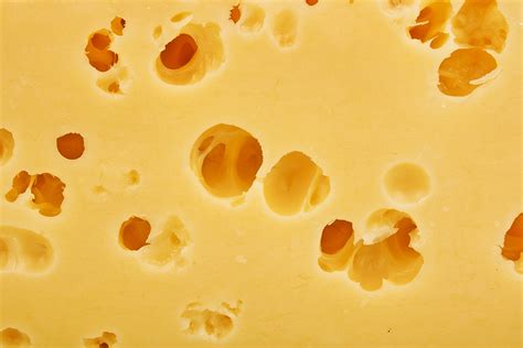 Why Does Swiss Cheese Have Holes? | Wonderopolis