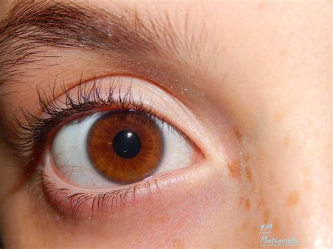 A honey color eye KM Photography 2015 | Honey colored eyes, Honey ...