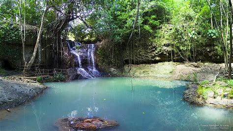 HD wallpaper: Tropical Rainforest, St. Lucia, Waterfalls | Wallpaper Flare