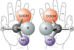 16.5: Fundamentals of Chirality - Chemistry LibreTexts