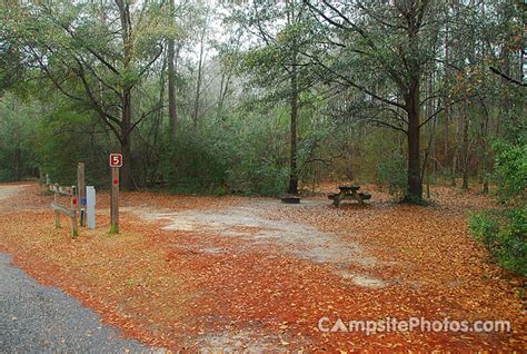 Falling Waters State Park - Campsite Photos, Info & Reservations