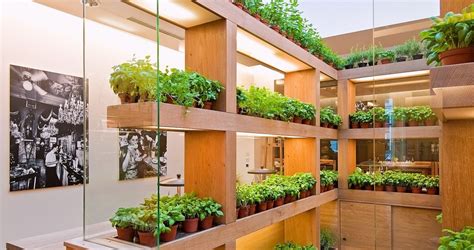 How To Create An Indoor Vegetable Garden - Topsygardening