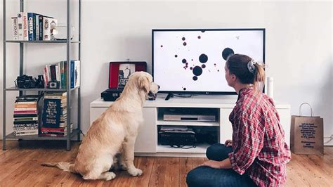 Dog TV Is the New Streaming Platform That'll Keep Your Pooch ...