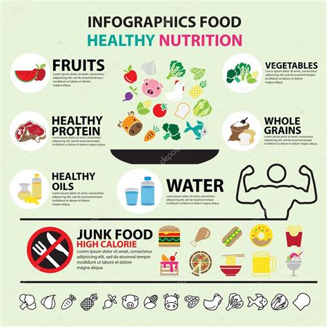 Infographic food healthy nutrition — Stock Vector © bitontawan02 #64522793