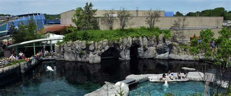 You can still ‘visit’ Maritime Aquarium at Norwalk, Mystic Aquarium