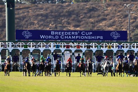 2023 Breeders' Cup Juvenile Turf Free Pick - Horse Betting Odds