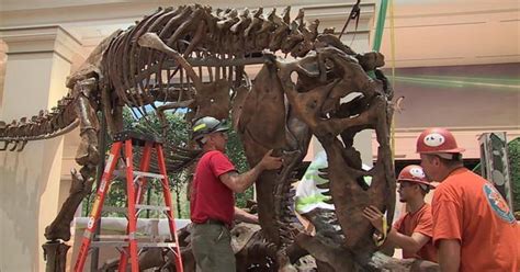 Inside the revamped Smithsonian dinosaur exhibit - CBS News