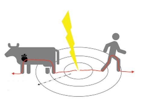 Reducing Lightning Strike Fatalities | Electrical India Magazine