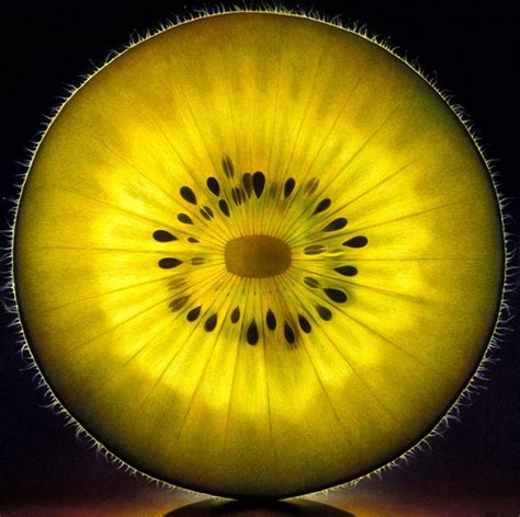 Les Portraits lumineux de Fruits tranchÃ©s de Dennis Wojtkiewicz | Photographie de fruit, L'art ...