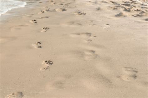 Premium Photo | Footprints in the sand at sunset