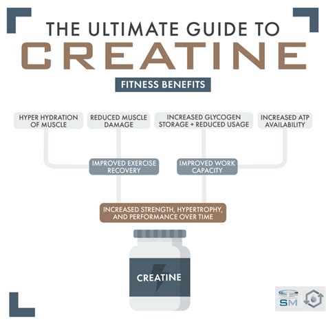 The Ultimate Guide to Creatine - Sam Miller Science