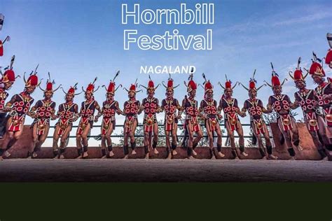 Hornbill Festival Logo