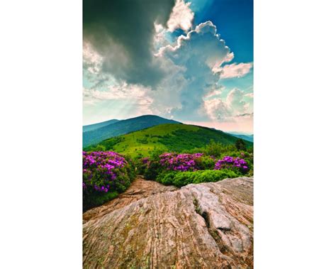 Spring Mountain Scene Church Bulletin 1206 (case of 100)