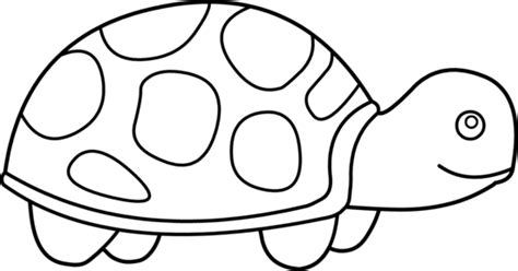 Turtle Line Art - Cliparts.co