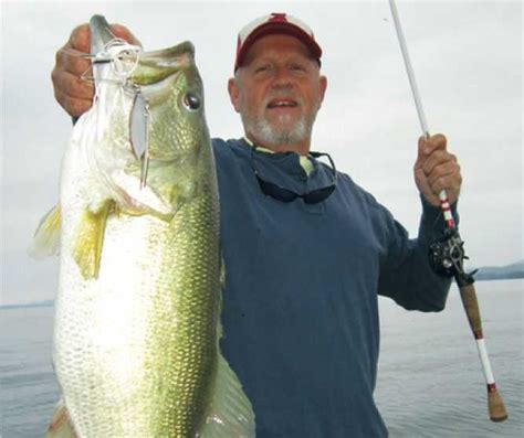 The What and How’s of Shad Spawn! - Coastal Angler & The Angler Magazine