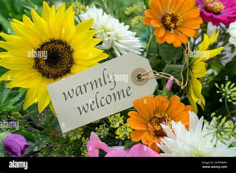 Colorful bouquet of summer flowers with card and english text: warmly welcome Stock Photo - Alamy