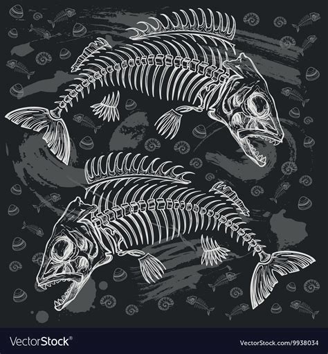 Fish bone drawing Royalty Free Vector Image - VectorStock