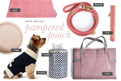 Holiday Gift Guide for Pets: For the Pampered Pooch | Pampered pooch ...