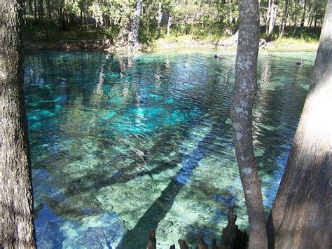 Ginnie Springs: Outdoor Water Adventures And Camping