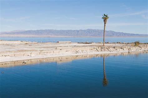 Salton Lake: il Lago delle Ossa in California, la storia di un paradiso ...