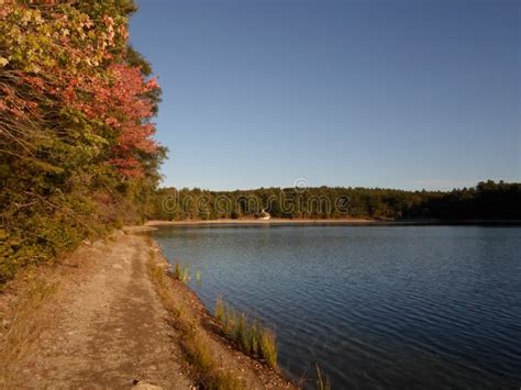 Walden Pond and Walden Pond State Reservation, Concord, Massachusetts, USA Stock Image - Image ...