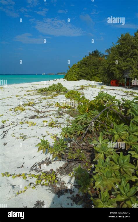 Maldives, Indian ocean Stock Photo - Alamy