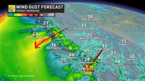 Winter returns with a rare El Niño chill coming to B.C. - The Weather Network