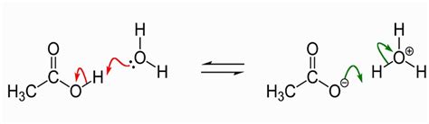 Dissociation Of Acetic Acid In Water Net Ionic Equation - Tessshebaylo