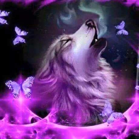 Aggregate 83+ purple wolf wallpaper super hot - in.coedo.com.vn