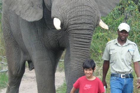 Hazyview Elephant Sanctuary - Merry Pebbles