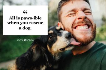 Rescue Dog Quotes