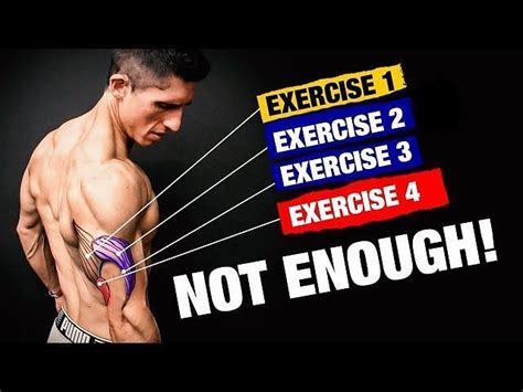 How to Use a Tricep Extension Machine: Tips, Technique, Correct Form ...