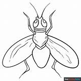 Fly Coloring Pages House Drawing Printable Kids Insects Flying  sketch template