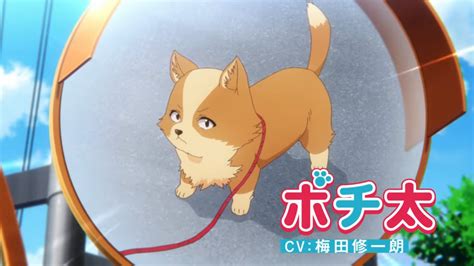 My Life as Inukai-san’s Dog Gets "Wonderful" Versions of Trailer and Visual