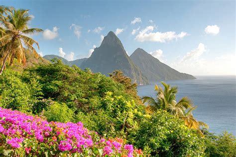 St Lucia Pitons Stock Photos, Pictures & Royalty-Free Images - iStock