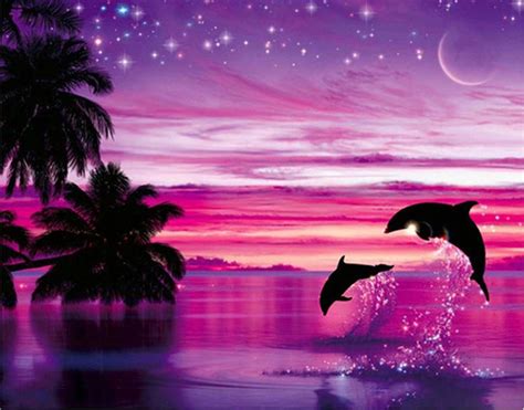 Sunset Tree Dolphin 5D Diamond Painting - 5diamondpainting.com – Five Diamond Painting