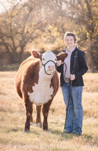 Pin by Jody Mertins on cattle | Show cattle, Hereford cattle, Cow pictures