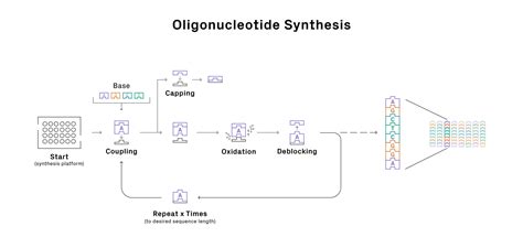 Beginner’s Guide to Artificial DNA Synthesis | Azenta Life Sciences