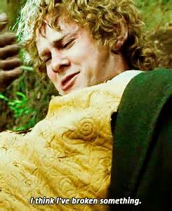 merry brandybuck gifs | WiffleGif