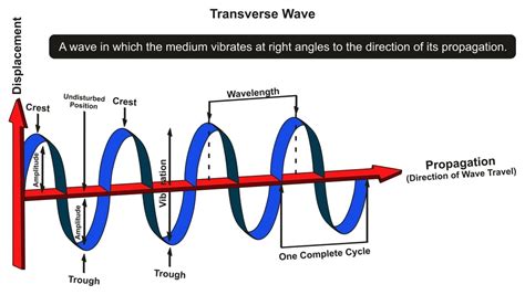 Why Do Different Musical Instruments Make Different Sounds? » ScienceABC