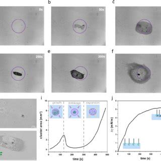 Self-sustained Marangoni flow triggered by localized UV exposure. (a)... | Download Scientific ...