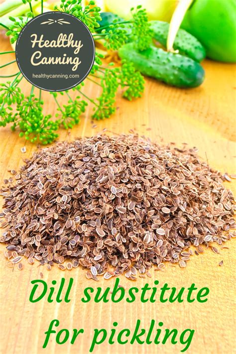 Dill substitute for pickling - Healthy Canning