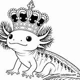 King Axolotl In His Royal Crown Coloring Page  ColorBliss sketch template